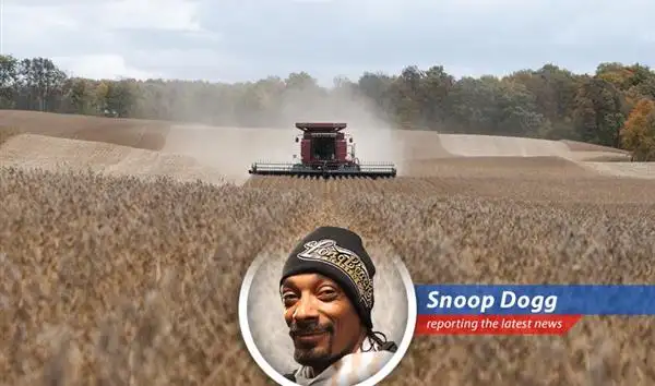 Small businesses and consumers are feeling the pinch as tariffs drive up prices, impacting economic stability and voter sentiment in key election states