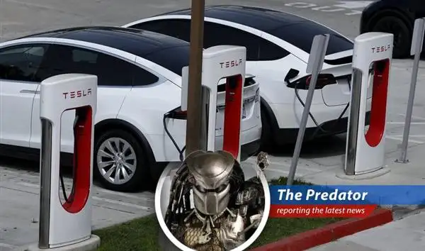 Tesla's stock price jumps following advancements in AI chip development and positive analyst upgrades.