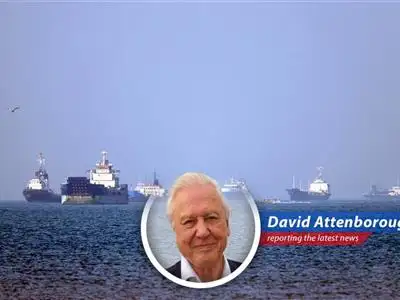 A Maersk vessel transits the Strait of Hormuz under the watchful eye of the U.S. Navy, a stark illustration of the current geopolitical climate.