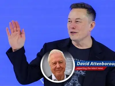 A Tesla vehicle navigating a winding road symbolizing the company's complex journey amidst market challenges and evolving strategies