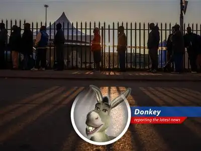 A comical perspective on the recent political shift in South Africa through donkey's eyes image