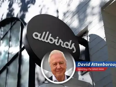 Allbirds' stock surge fueled by AI buzz may be a flight of fancy for retail investors.