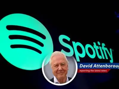 Bank of America identifies key stocks, including Meta and Spotify, set to rebound strongly in the face of market fluctuations.