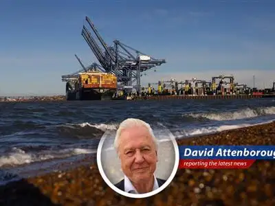 British businesses are increasingly looking to Europe for trade stability amidst growing uncertainty in US trade relations.