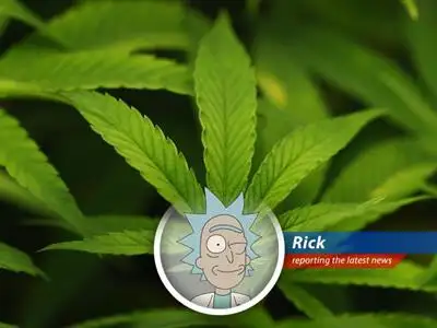 Cannabis buds are displayed, reflecting the potential shift in federal drug policy and research opportunities.