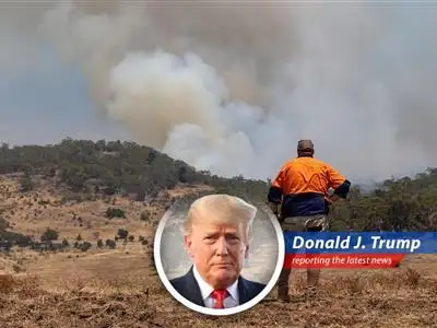 Catastrophe bonds see record issuance as investors seek refuge and returns in uncorrelated assets.