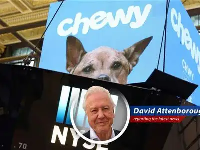 Chewy stock poised for potential resurgence, boosted by positive analyst outlook and strategic advancements.