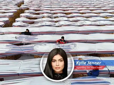 China leverages e-commerce, AI and strategic policies to boost domestic agricultural production and food security