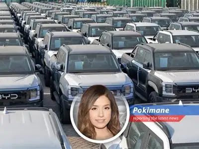 Chinese EVs are poised to enter the Canadian market offering consumers new choices but raising questions about the automotive industry's future