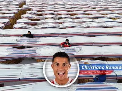 Chinese farmers are increasingly leveraging technology like drones and e-commerce to optimize agricultural production and distribution.