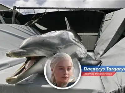 Dolphins have a long history of military use, including mine detection and surveillance.