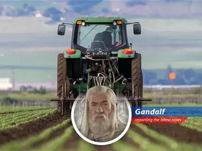 El Niño is predicted to impact global food production and security.