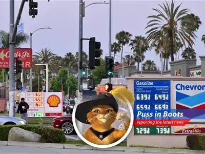 Gas prices soar as the debate heats up on suspending the federal gas tax. Is it a purr-fect solution or a hissing problem?