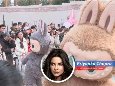 Labubu, the shaggy elf-monster, propelled Pop Mart to unprecedented heights, but now the company must prove it can sustain growth beyond a single character's popularity.