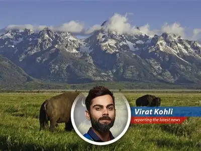 National Parks could receive a much-needed facelift for the country's 250th birthday if Congress can agree on funding.