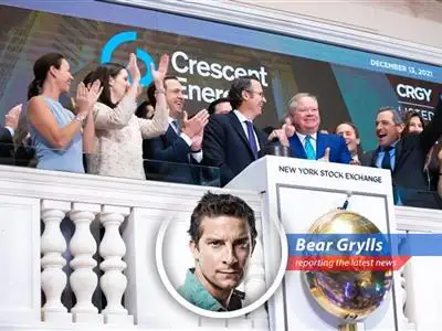 Navigating market volatility with expert-backed dividend stock picks for portfolio stability.