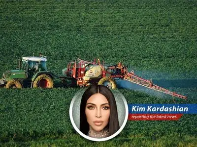 Navigating the stock market's ups and downs can feel like choosing the right filter – it's all about perspective.