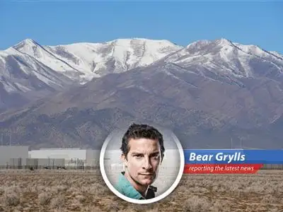 Navigating the volatile financial landscape requires resilience and adaptability, much like surviving in the wild.