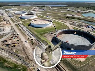 Oil tankers are vital for global energy supply, now facing disruptions amid Middle East tensions and the IEA's strategic oil reserve release.