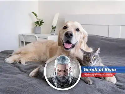 Pet care benefits are becoming a popular work perk as companies address employee caregiving needs.