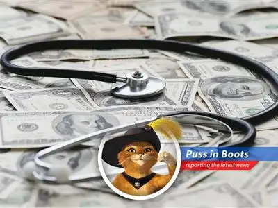 Puss in Boots unsheathes his financial acumen to guide you through the labyrinth of medical bills.