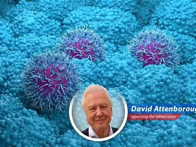 Revolution Medicines' daraxonrasib shows significant promise in treating pancreatic cancer, offering new hope to patients with this aggressive disease.