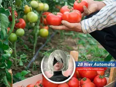 Richard Christiansen, founder of Flamingo Estate, merging luxury branding with sustainable farming practices. image