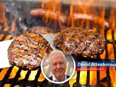 Rising beef prices signal a concerning trend for consumers and businesses alike as the cattle herd dwindles to historic lows.