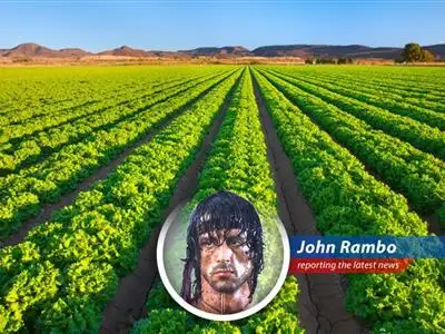 Rising energy prices and geopolitical tensions threaten global food supplies and affordability