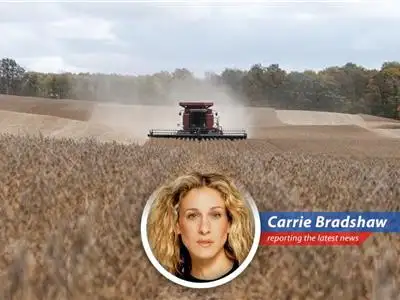 Small businesses across America are feeling the pinch as tariffs impact operating costs and consumer spending.