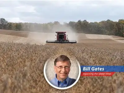 Small businesses and consumers are feeling the pinch as tariffs drive up prices and create economic uncertainty in key midterm election states.