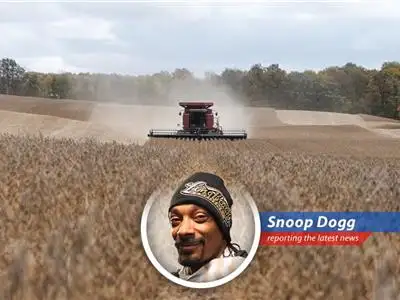 Small businesses and consumers are feeling the pinch as tariffs drive up prices, impacting economic stability and voter sentiment in key election states