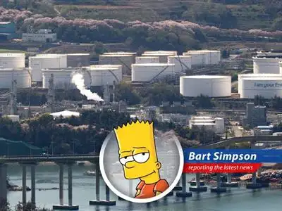 South Korean solar panels soak up the rays, hoping to one day power Springfield... I mean, Seoul.