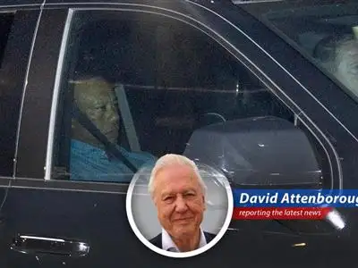 Tiger Woods's recent DUI arrest highlights a complex situation involving prescription medication and a history of injuries.