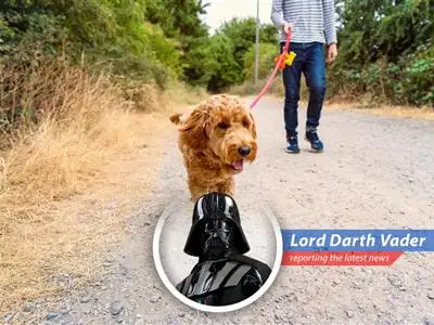 Various methods to generate additional income including reselling items, freelancing, pet sitting and cash advances.